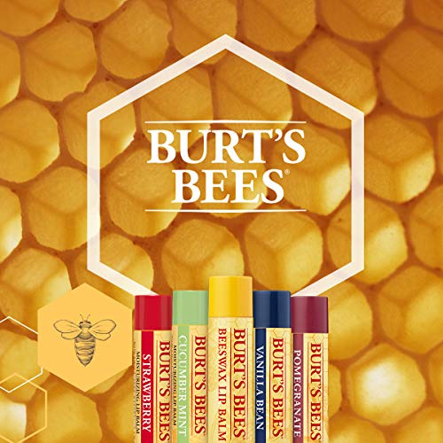 Burt's Bees 100 Prozent Natürlicher getönter Lippenbalsam, Honig mit Bienenwachs, 1 Stift - 4